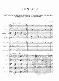 Symphonie Nr. 5 c-Moll op. 67 von Ludwig van Beethoven 