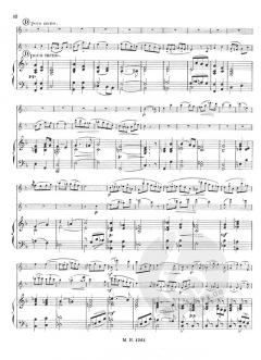 Andante und Rondo op. 25 von Franz Doppler für 2 Flöten und Klavier im Alle Noten Shop kaufen