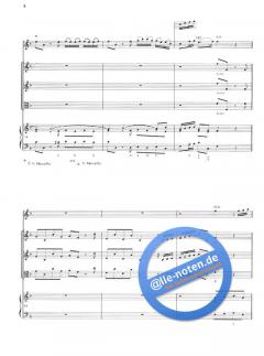 Concerto in d-moll (Alessandro Marcello) 