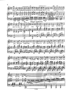 Wein, Weib und Gesang op. 333 von Johann Strauss (Sohn) 