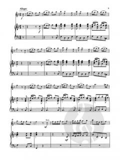 Concerto Nr. 5 op. 10/5 RV 434 von Antonio Vivaldi 