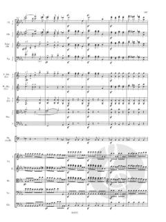 Sinfonie Nr. 3 Es-Dur op. 97 von Robert Schumann 