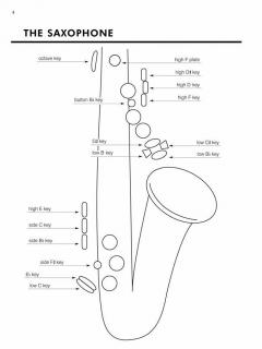 Saxophone Basics (Pupil's Book) von Andy Hampton 