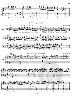 Der strebsame Akkordeonist Band 2 von Carl Czerny im Alle Noten Shop kaufen