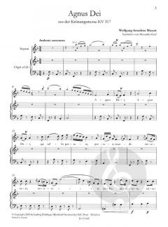 Ave verum corpus/Agnus Dei aus KV 317 (W.A. Mozart) 