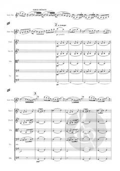 The Lark Ascending von Ralph Vaughan Williams 