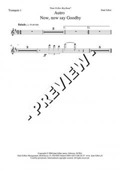 Now, Now Say Goodbye (Dani Felber) 