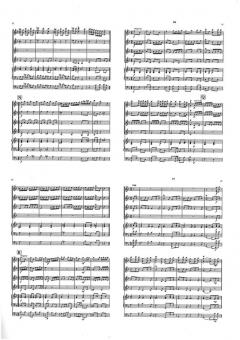 First Suite 