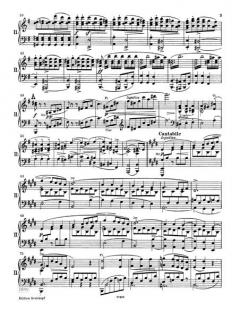Klavierkonzert Nr. 1 e-moll op. 11 von Frédéric Chopin im Alle Noten Shop kaufen