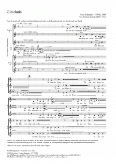 Gleichnis von Hans Schanderl (Download) 