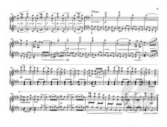 Dumky Klaviertrio op. 90 von Antonín Dvorák im Alle Noten Shop kaufen