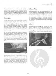 Musik mit Klasse: Unterrichtsphase 2 Querflöte (mit CD) (Gregor Gärtner) 