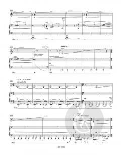 Gran Passo for Piano von Charlotte Seither (Download) 
