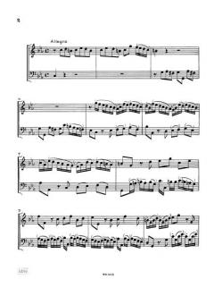 Sonate c-moll (Johann David Heinichen) 