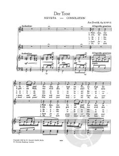 Klänge aus Mähren op. 32 - Band 2 von Antonín Dvorák 