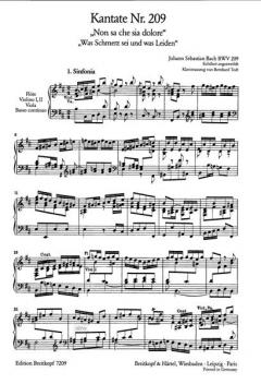 Non sa che sia dolore von Johann Sebastian Bach 