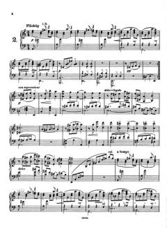 Ländliche Tänze op. 1 von Alexander von Zemlinsky 