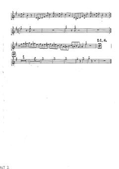 Samba A Gogo von Dirk Schweppe 
