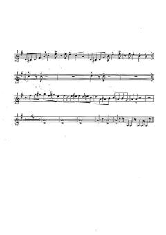 Samba A Gogo von Dirk Schweppe 