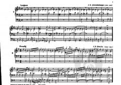 Ludus Organisticus 