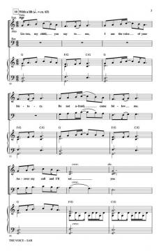 The Voice von Brendan Graham (Download) 