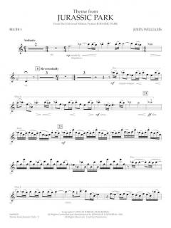 Theme from Jurassic Park von John Williams 