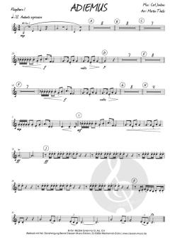 Adiemus von Karl Jenkins 