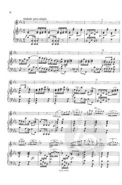 Konzert C-Dur 