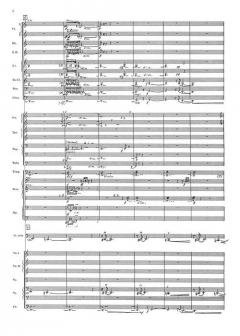 Concerto for Violoncello and Orchestra von Karel Husa 