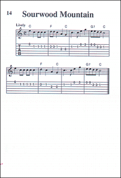 Guitar Tune Book, Pocketbook Deluxe Series von William Bay 