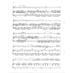Duo concertant op.16 (Ernest Krähmer) 