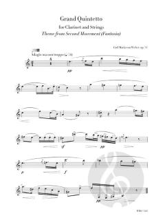 The Clarinetist von Anton Hollich 