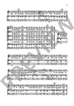 Matthäus-Passion (Johann Georg Kühnhausen) 