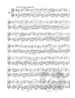 20 Duette für 2 Violinen op. 55 von Robert Fuchs im Alle Noten Shop kaufen