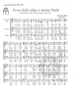 Freu dich sehr, o meine Seele (J.S. Bach) 