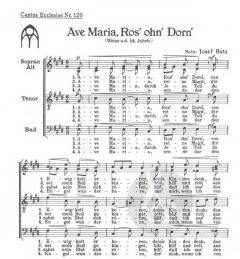 Ave Maria, Ros' ohn' Dorn (Josef Butz) 