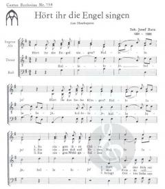 Hört ihr die Engel singen (Josef Butz) 