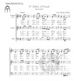 O Jubel, o Freud (Norbert Feibel) 