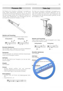 Handbuch Popularmusik (Michael Schütz) 