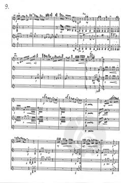 Sometimes You Can Hear The Birds Sing von Martyn Brabbins 