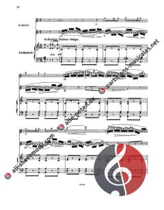Souvenir de Prague op. 24 von Karl Doppler 