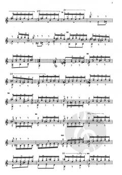 Opere per Liuto von J.S. Bach 