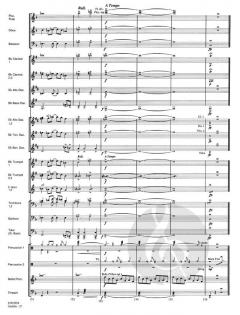 Pirates of The Caribbean von Klaus Badelt (Download) 