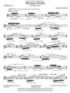 Elysian Fields von Robert Maggio 