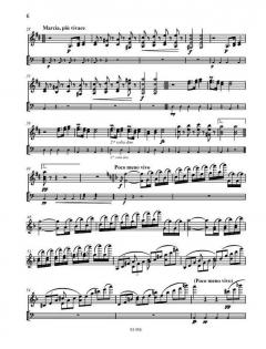Kadenzen D-Dur von Ludwig van Beethoven 