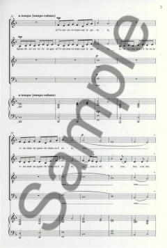 Time To Say Goodbye von Andrea Bocelli 