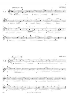 Studies In Lyricism 