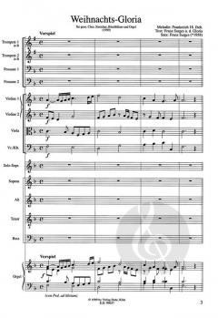 Weihnachts-Gloria (Franz Surges) 