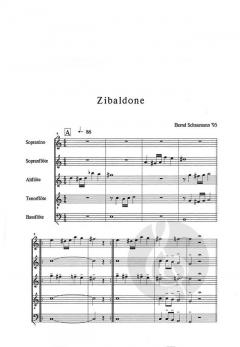 Zibaldone (Bernd Schaumann) 
