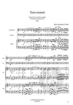 Terra tremuit (Heinrich Schnitzler) 